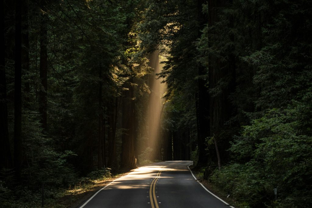 God will provide for you in unexpected ways