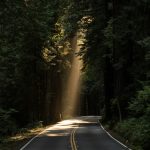 God will provide for you in unexpected ways